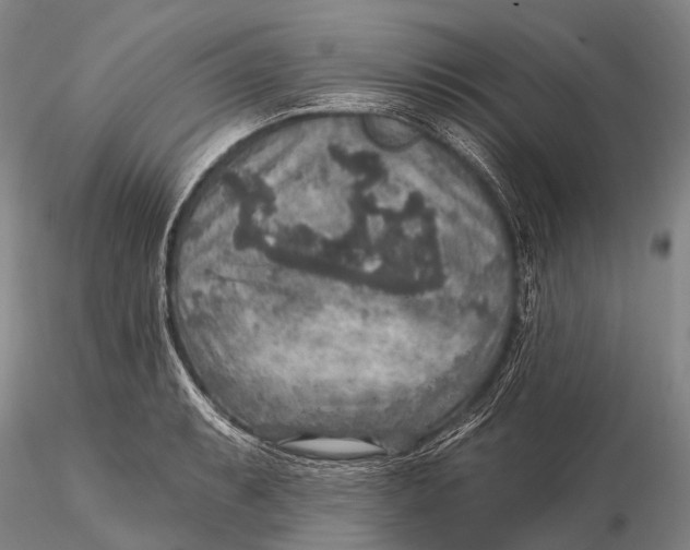 X0000115611087200912011545