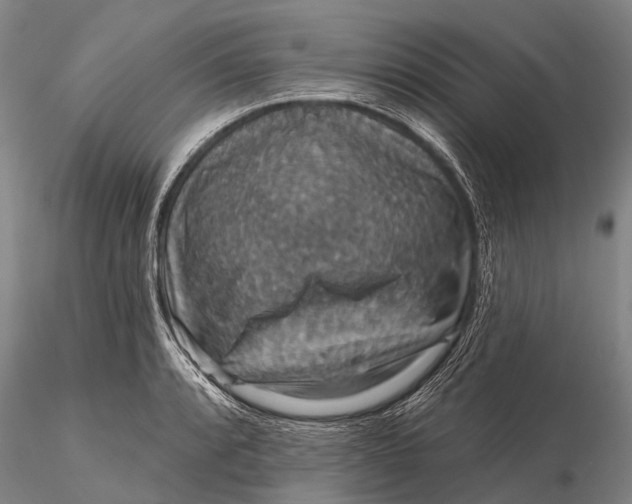 X0000115611088200912011545