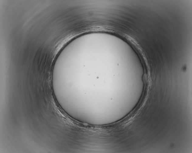 X0000115611089200912011545
