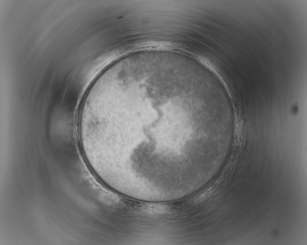 X0000115611090200912011545