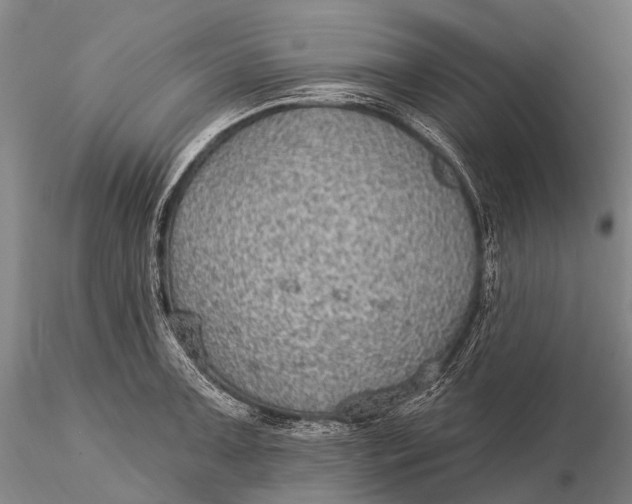 X0000115611091200912011545