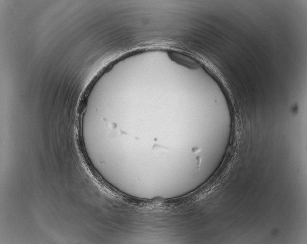 X0000115611093200912011545