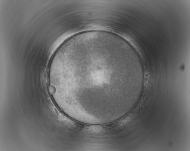X0000115611094200912011545