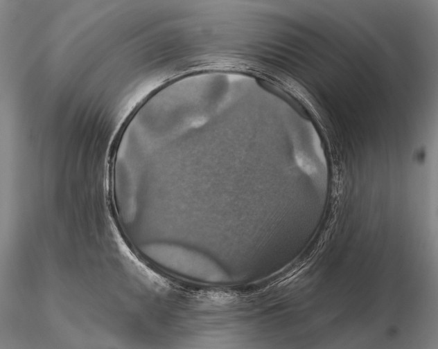 X0000115611095200912011545
