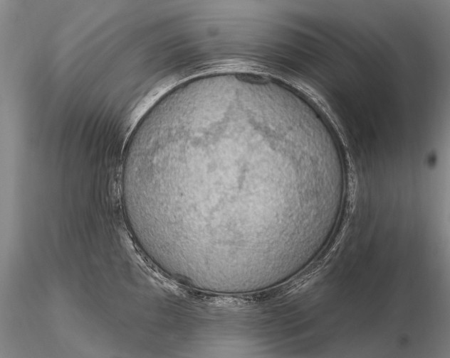 X0000115611097200912011545