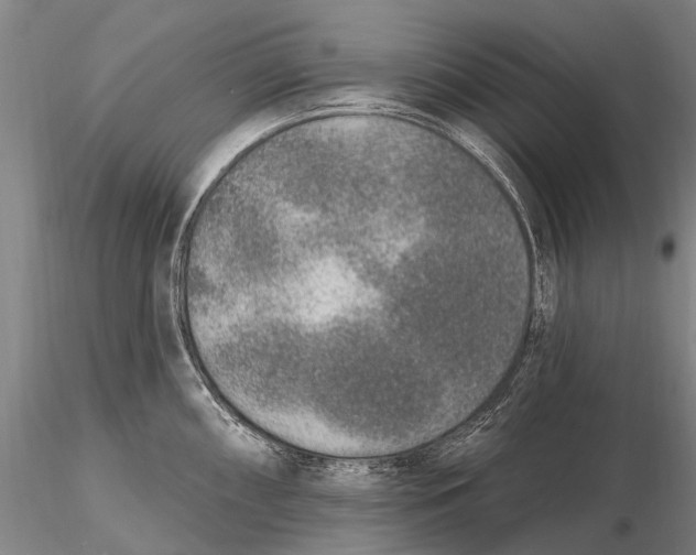 X0000115611098200912011545