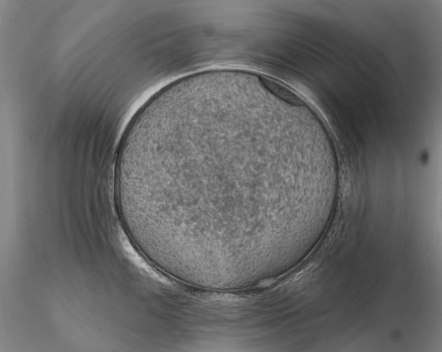 X0000115611100200912011545