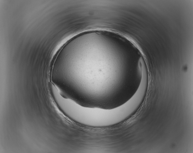 X0000115611101200912011545