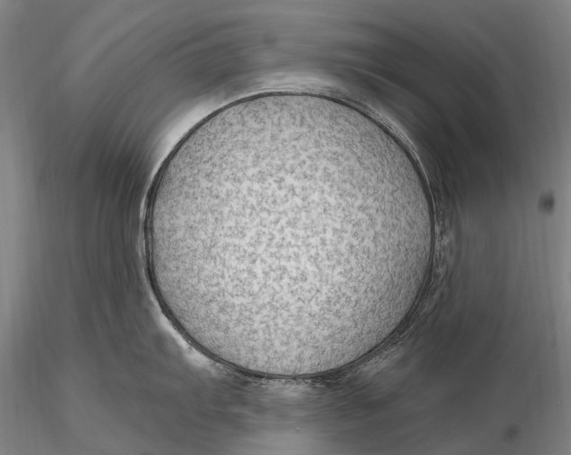 X0000115611103200912011545