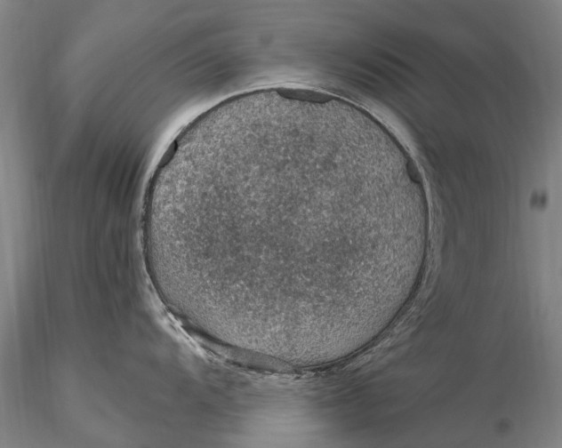 X0000115611104200912011545