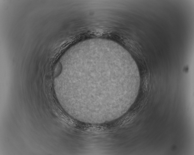 X0000115611105200912011544