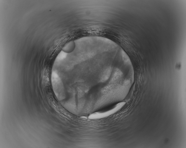 X0000115611106200912011544