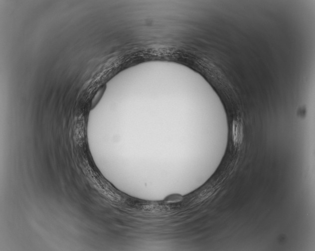 X0000115611107200912011544
