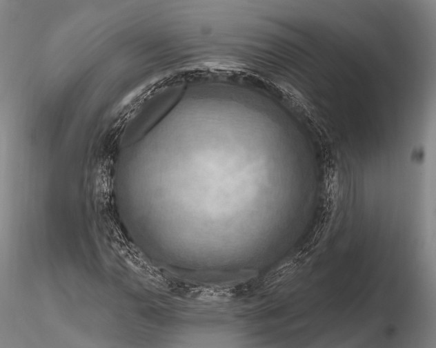 X0000115611110200912011544
