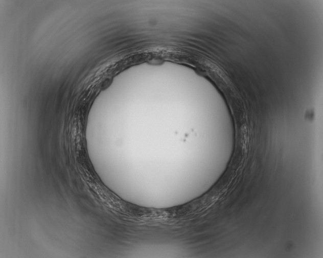 X0000115611111200912011544