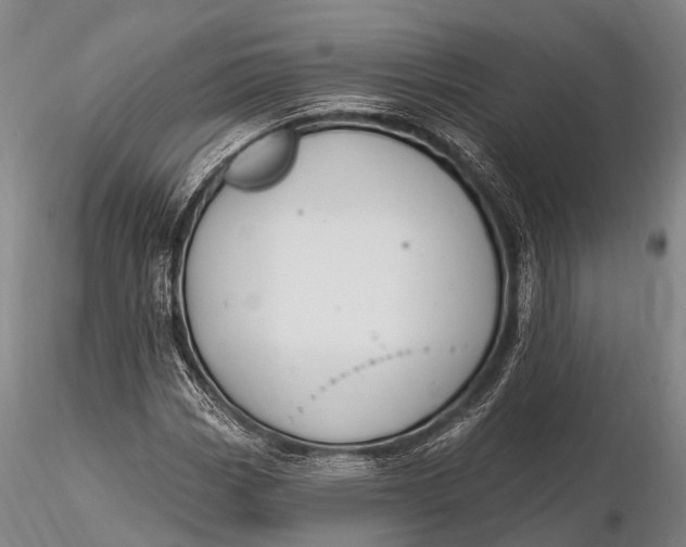 X0000115611113200912011544