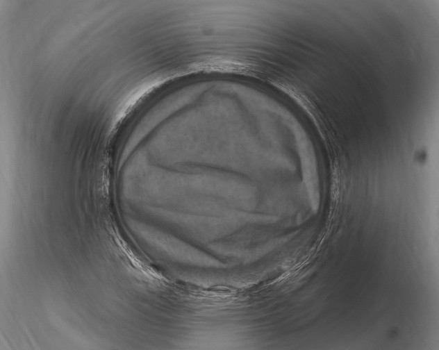 X0000115611115200912011544