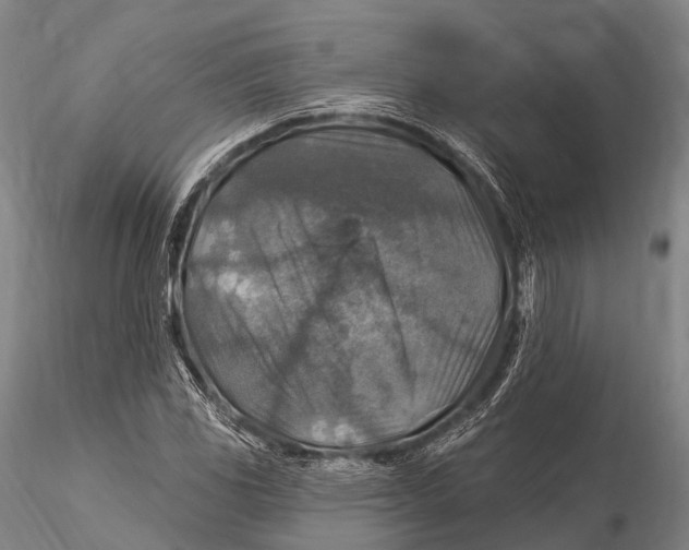 X0000115611117200912011544