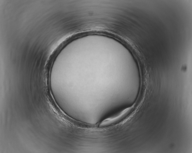 X0000115611118200912011544