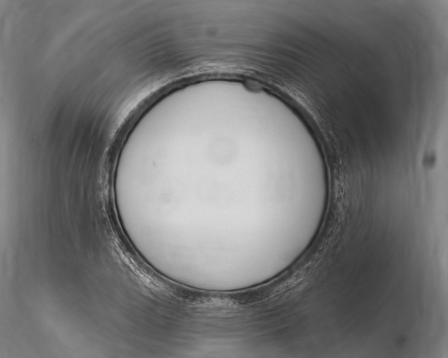 X0000115611119200912011544