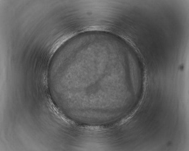 X0000115611121200912011544