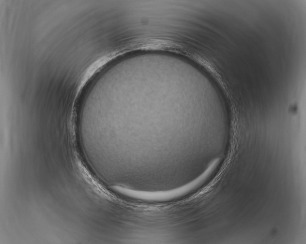 X0000115611122200912011544