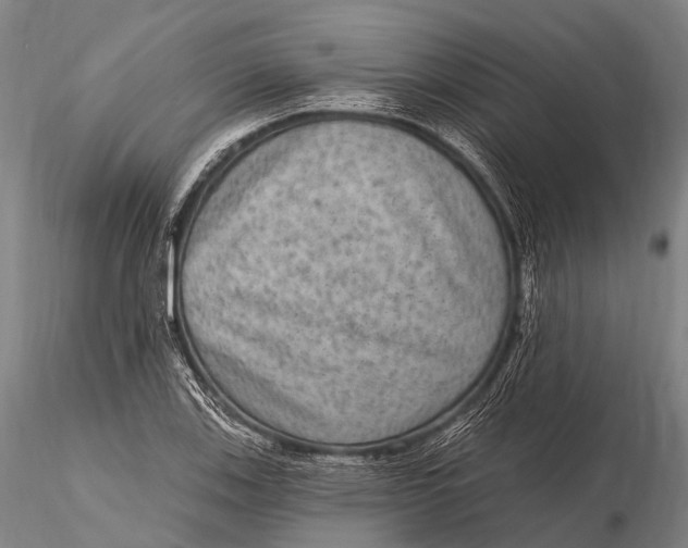 X0000115611123200912011544