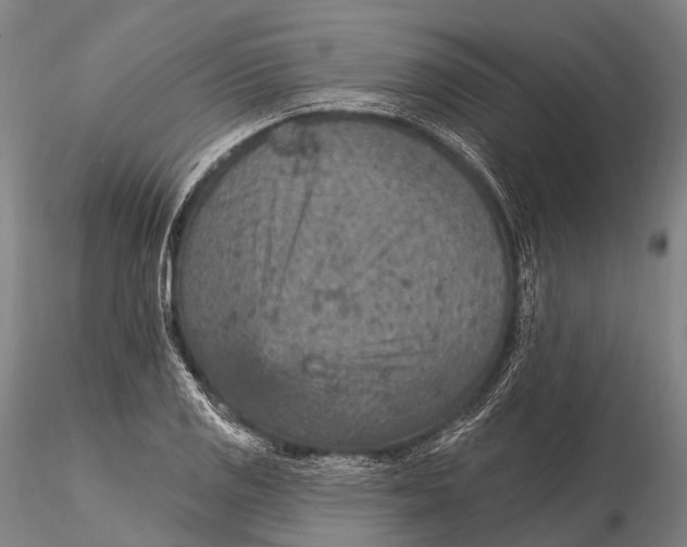 X0000115611125200912011544