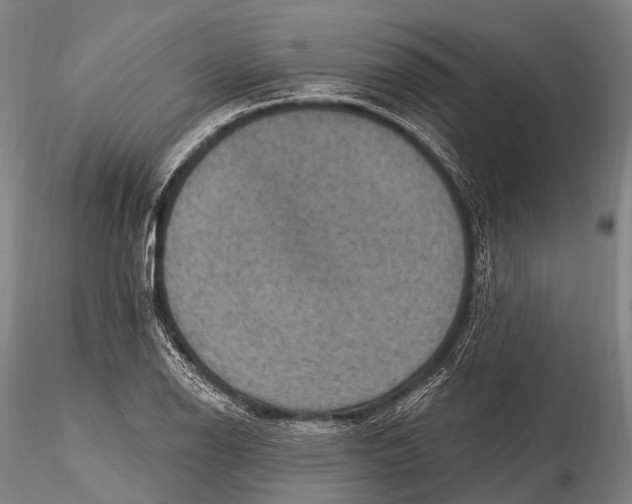 X0000115611126200912011544
