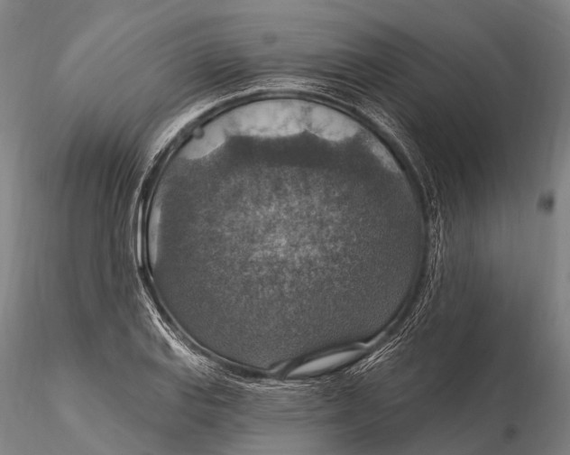 X0000115611127200912011544
