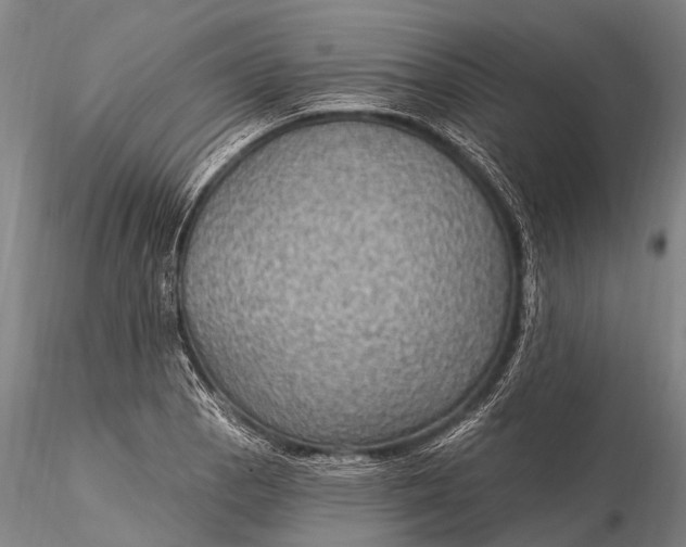 X0000115611129200912011544