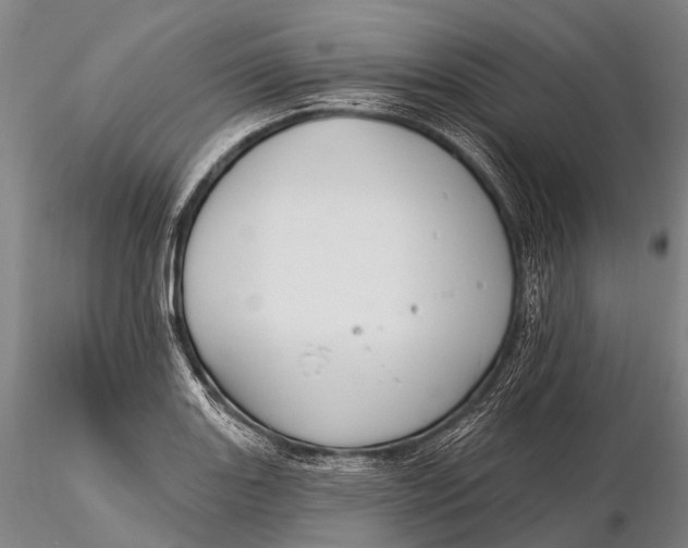 X0000115611131200912011544