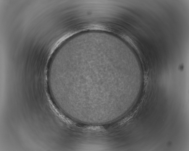 X0000115611133200912011544