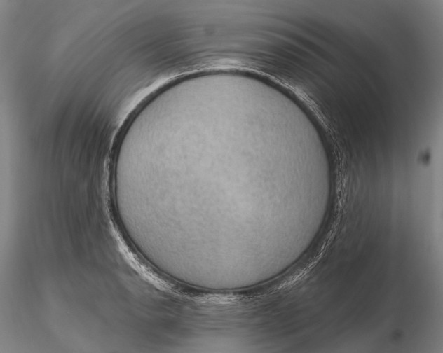 X0000115611134200912011544