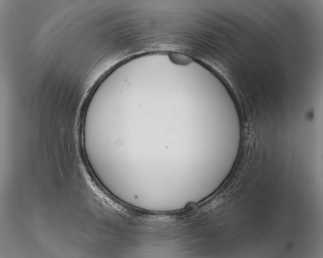X0000115611135200912011544