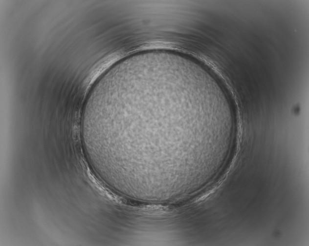 X0000115611137200912011544