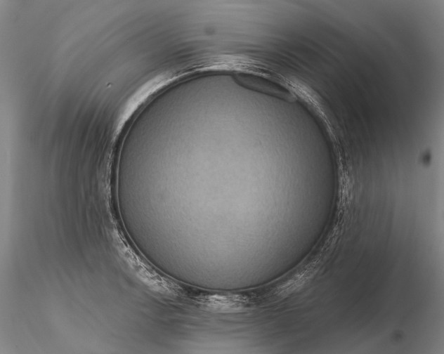 X0000115611138200912011544
