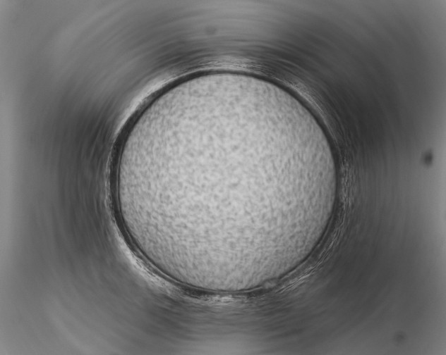 X0000115611139200912011544