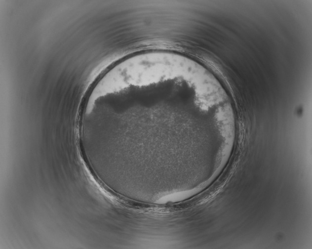 X0000115611141200912011544