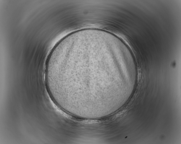 X0000115611143200912011544