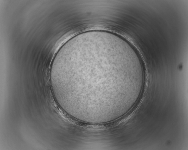 X0000115611145200912011544