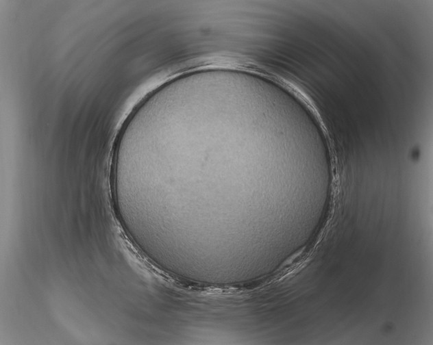 X0000115611146200912011544