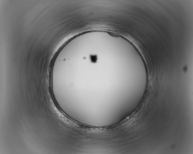 X0000115611147200912011545