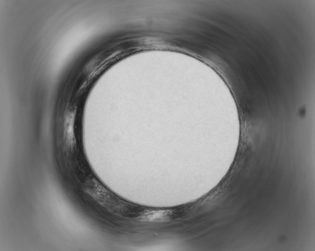 X0000115611150200912011545