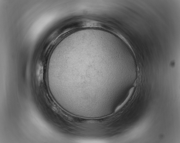 X0000115611151200912011545