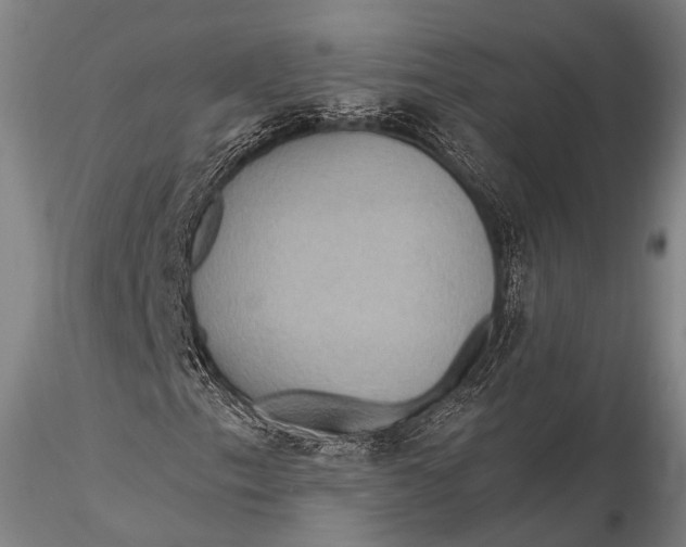 X0000115611153200912011544