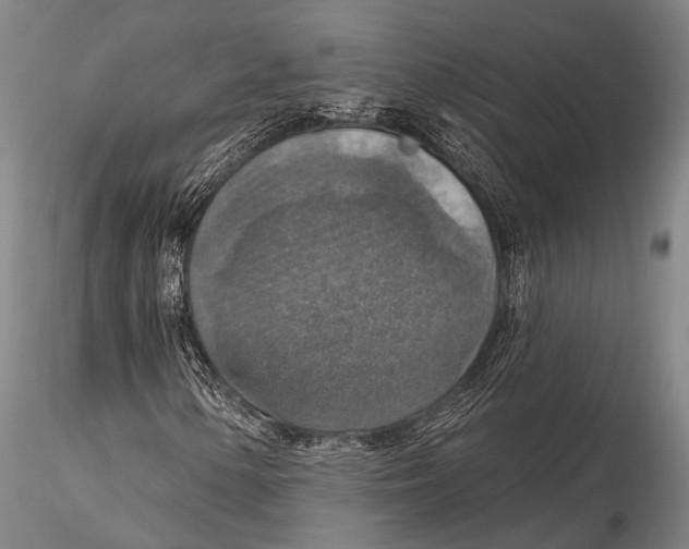 X0000115611154200912011544