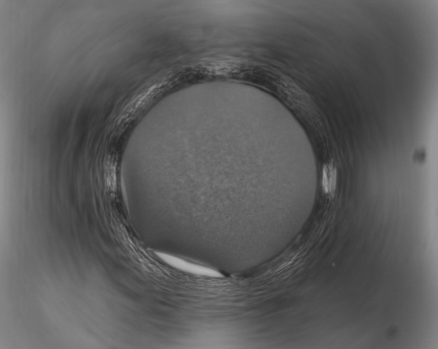 X0000115611155200912011544