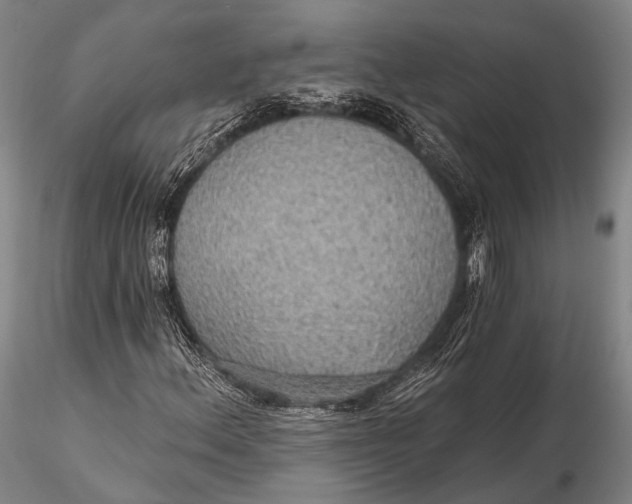 X0000115611156200912011544