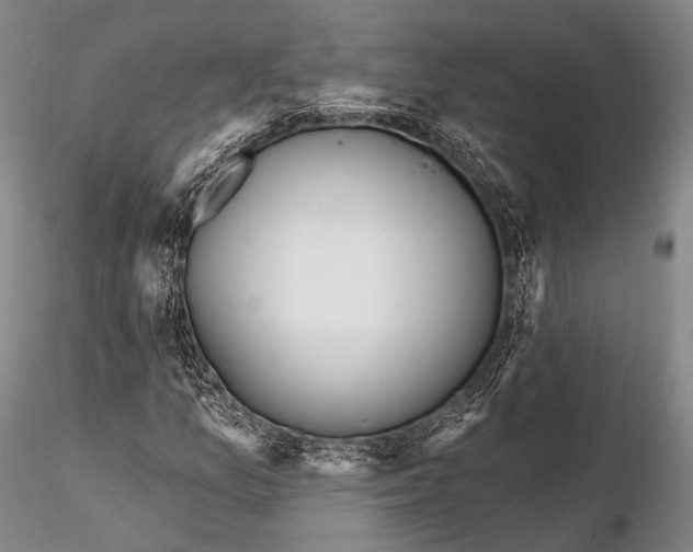 X0000115611157200912011544